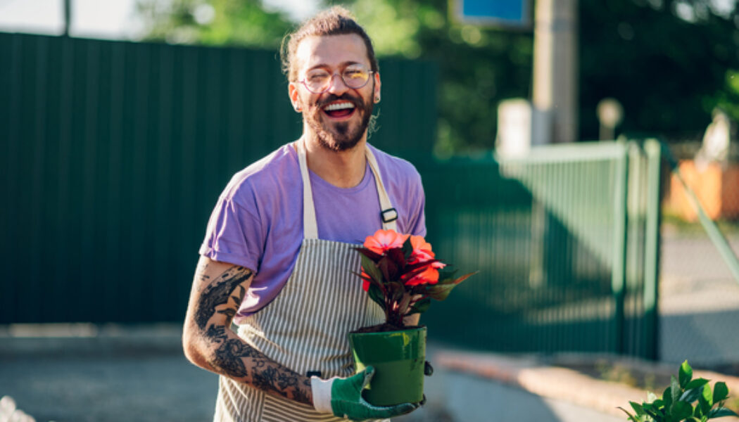 Plantas que No Necesitan Luz: Opciones perfectas para cualquier rincón de tu hogar