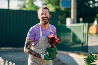 Plantas que No Necesitan Luz: Opciones perfectas para cualquier rincón de tu hogar